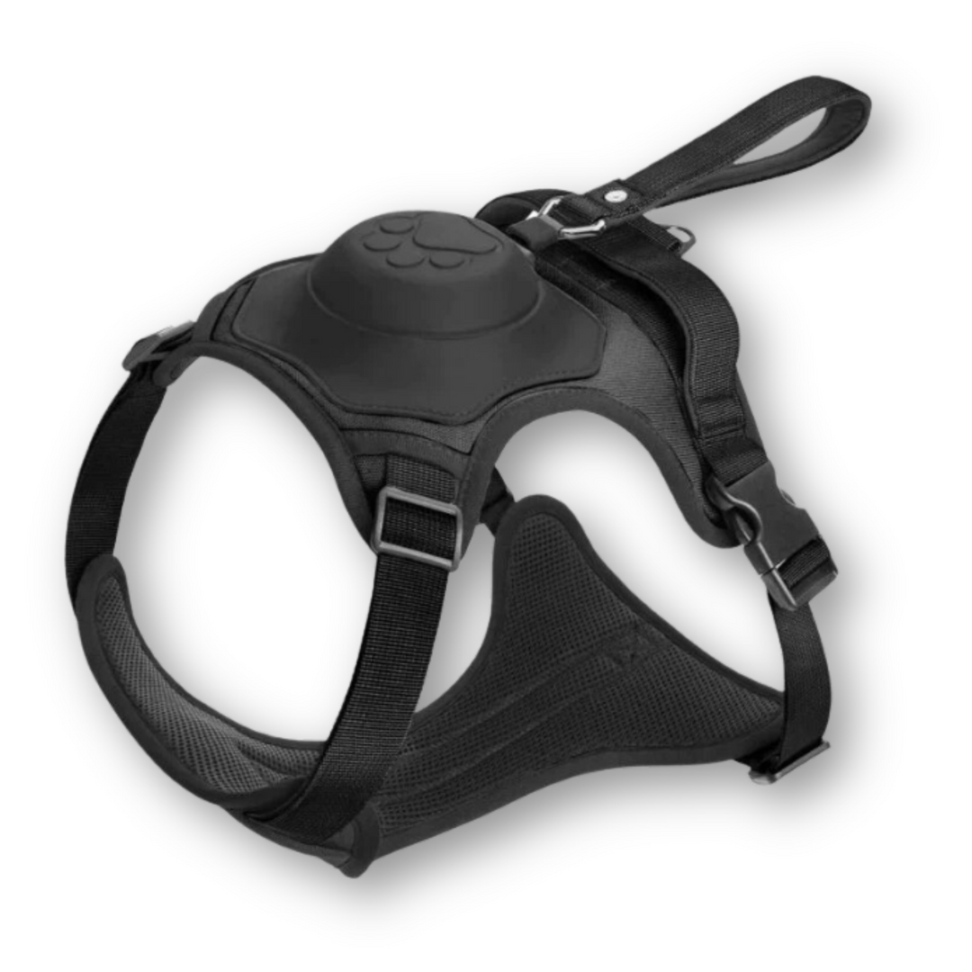 FlexiHarness – Comfortable 2-in-1 Dog Harness with Leash Azura