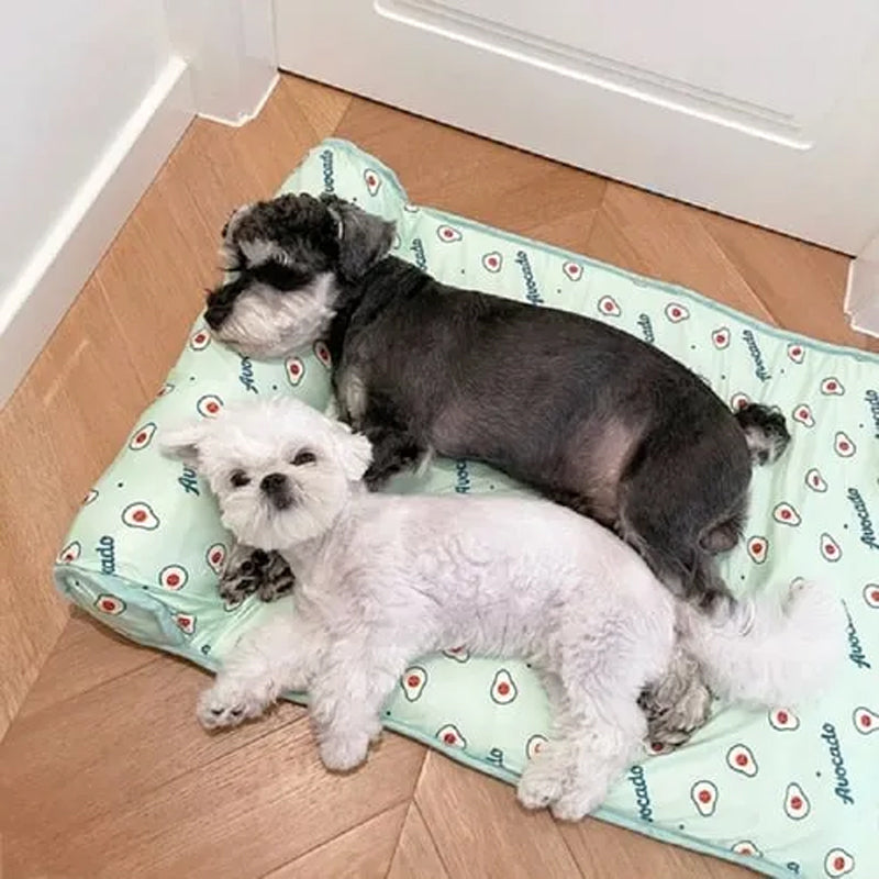 Azura | Ice Silk Cooling Mat for Dogs & Cats