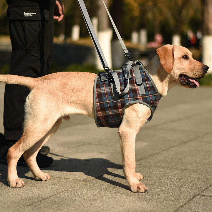 Azura | Orthopedic Rear Leg Support Harness for Dogs – Ideal for Arthritis, Hip Dysplasia & Mobility Aid