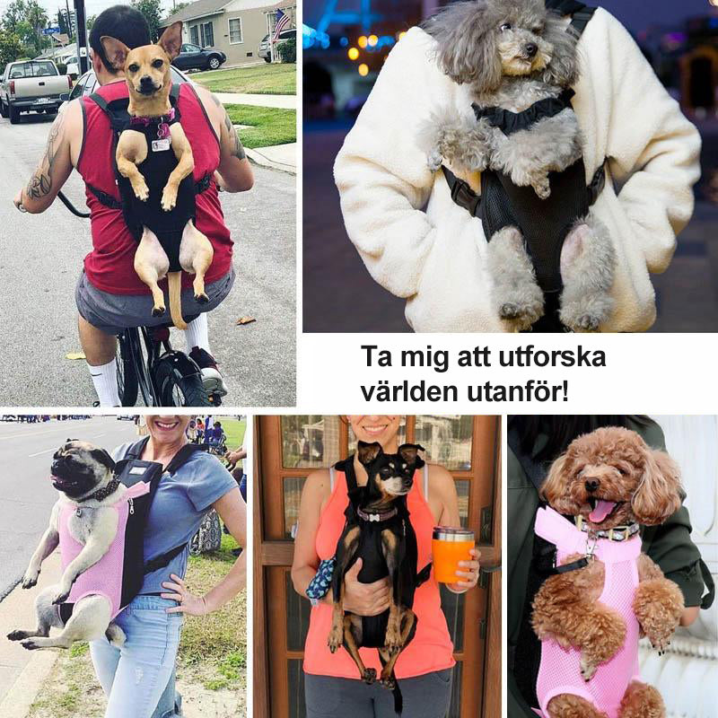 Azura | Pet Backpack Front