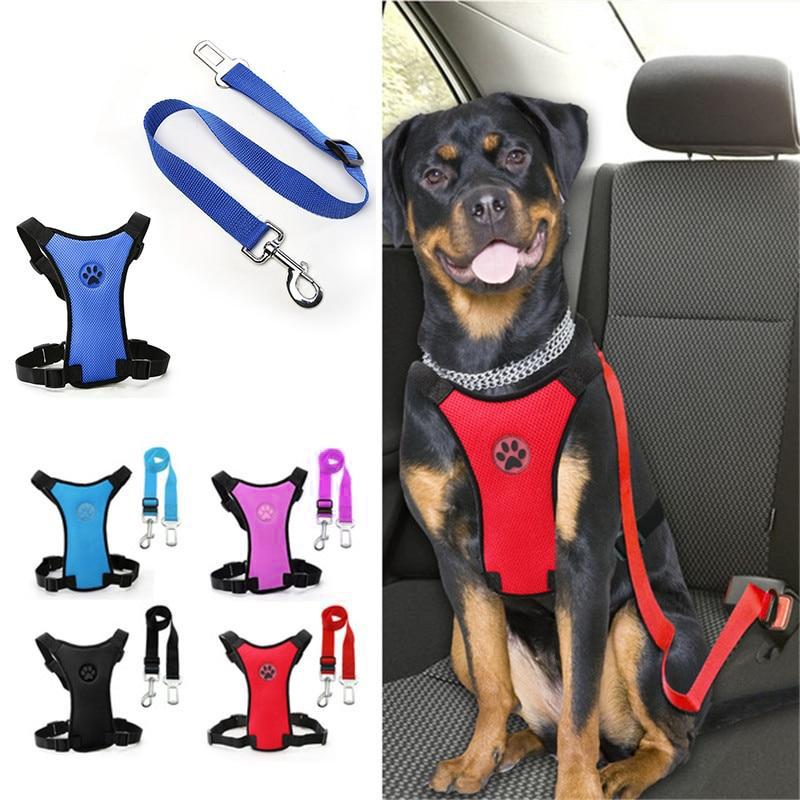 Azura | Dog Safety Harness Set