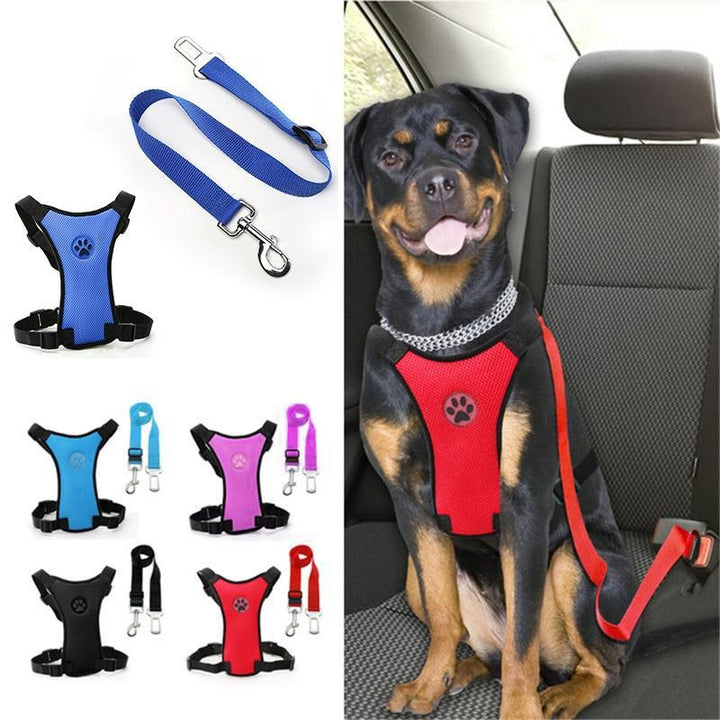 Azura | Dog Safety Harness Set