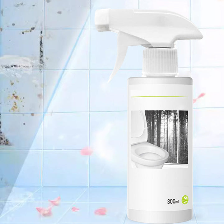 BowLift | Powerful cleaner for stains in toilet shine with oxalic acid