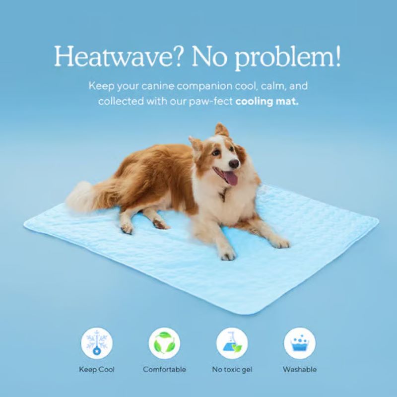 Azura | Cooling Mat for Dogs (4x More Effective)