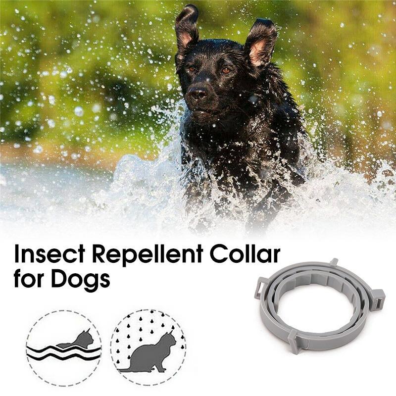 Azura | Adjustable Insect Defense Collar for Pets