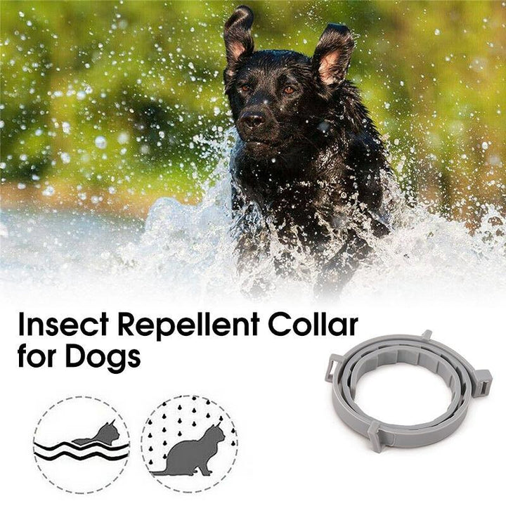 Azura | Adjustable Insect Defense Collar for Pets
