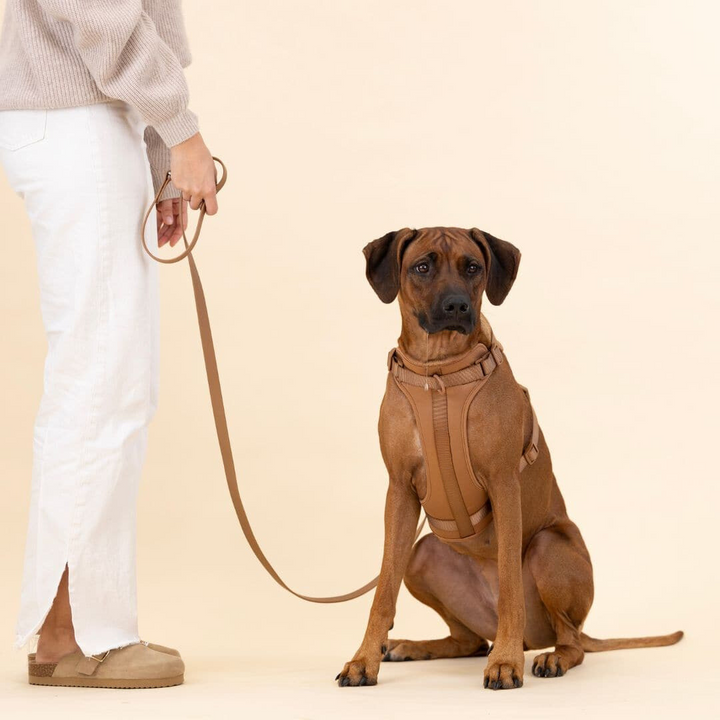 Azura | ComfyPaws Dog Harness Walking Set with Leash and Poop Bag Holder