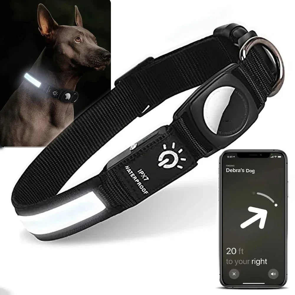 Azura | Flashing Dog Collars – Waterproof LED Light Up Dog Collar with USB Rechargeable Glow, Dog Collars Illuminated for Night Safety, All Sizes