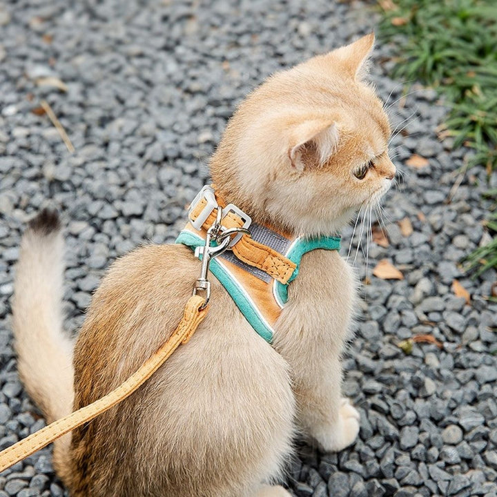 Azura | Escape-Safe Cat Harness and Leash Set – Adjustable, Comfortable, Breathable Fabric for Safe Outdoor Adventures