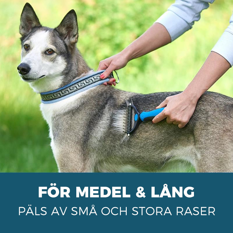 Azura | Pet Care Brush