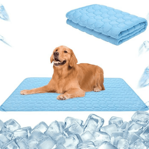 Azura | FrostPfote Cooling Mat for Pets | Self-cooling & Non-toxic | Comfortable & Power-free