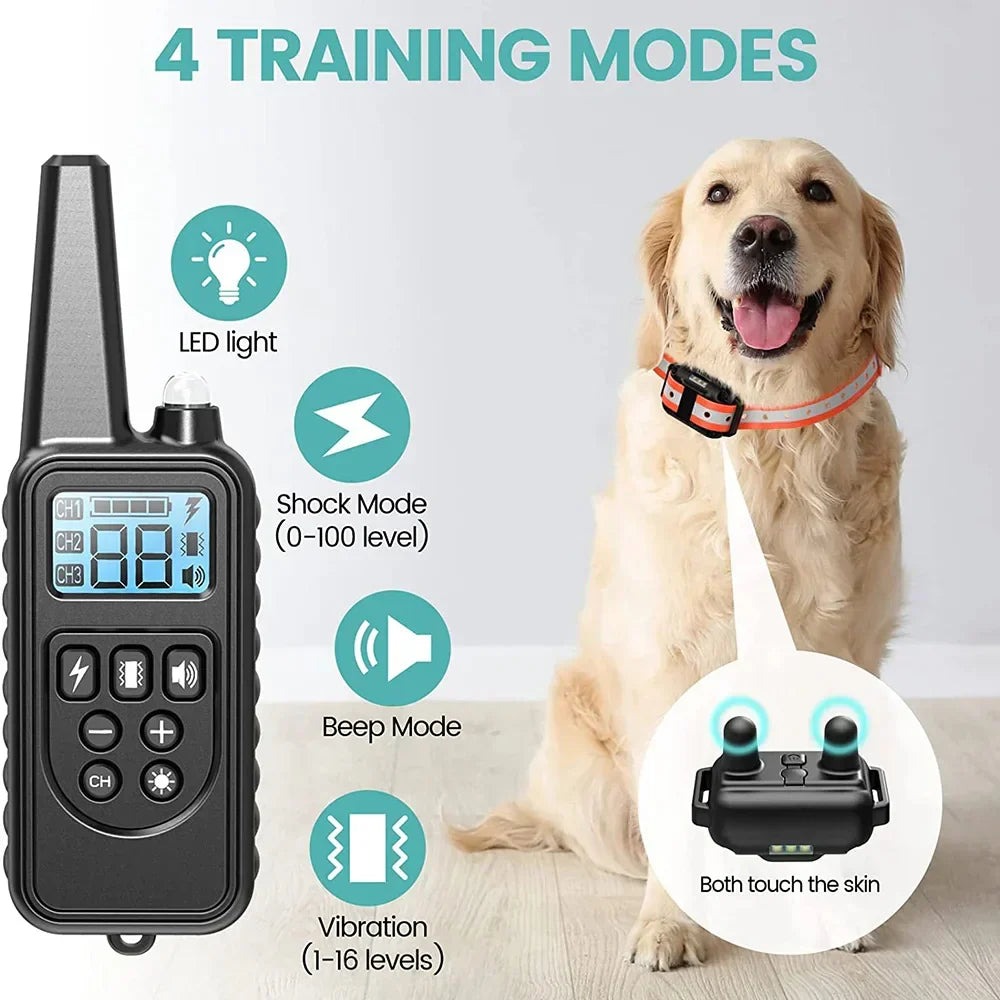 Azura | 800M Rechargeable Electric Dog Training Collar | Waterproof, Remote Control & Ideal for Effective Dog Training