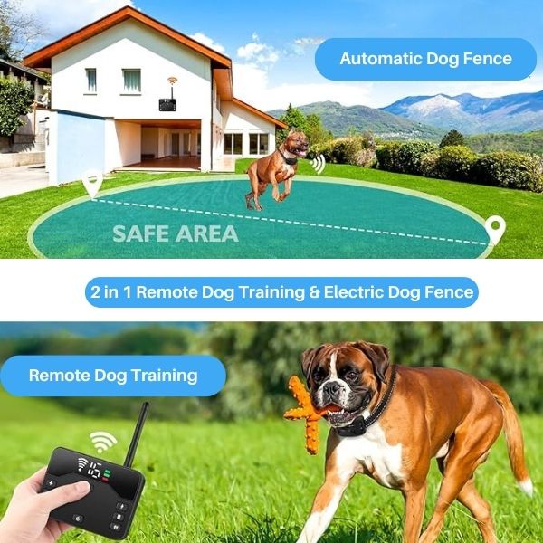 Azura | 2-in-1 Wireless Pet Training Collars and Dog Fence Sound Check Electric and Vibrating Shock Dog Collar Fence From 65 to 1640 Feet