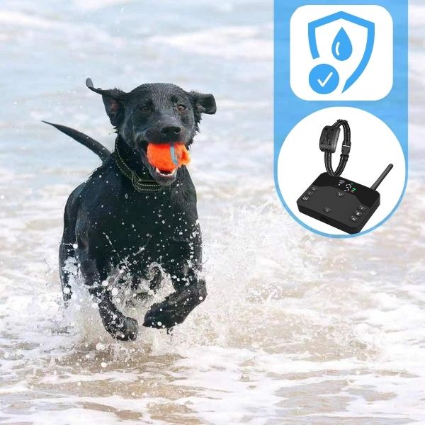 Azura | 2-in-1 Wireless Pet Training Collars and Dog Fence Sound Check Electric and Vibrating Shock Dog Collar Fence From 65 to 1640 Feet