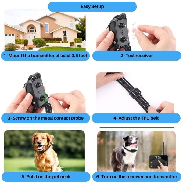 Azura | 2-in-1 Wireless Pet Training Collars and Dog Fence Sound Check Electric and Vibrating Shock Dog Collar Fence From 65 to 1640 Feet