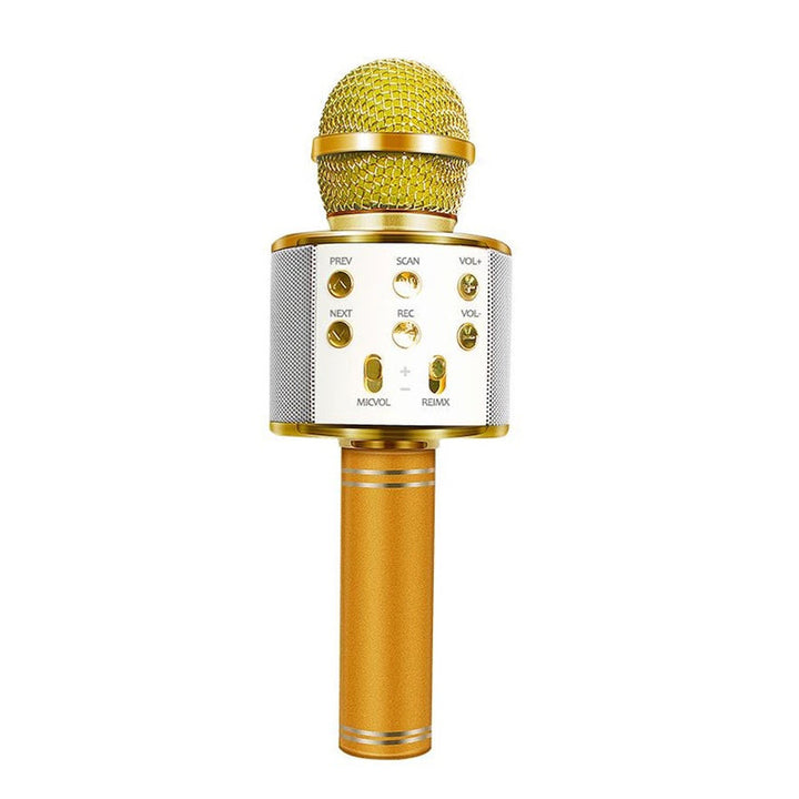 Azura | Rechargeable wireless Bluetooth karaoke microphone
