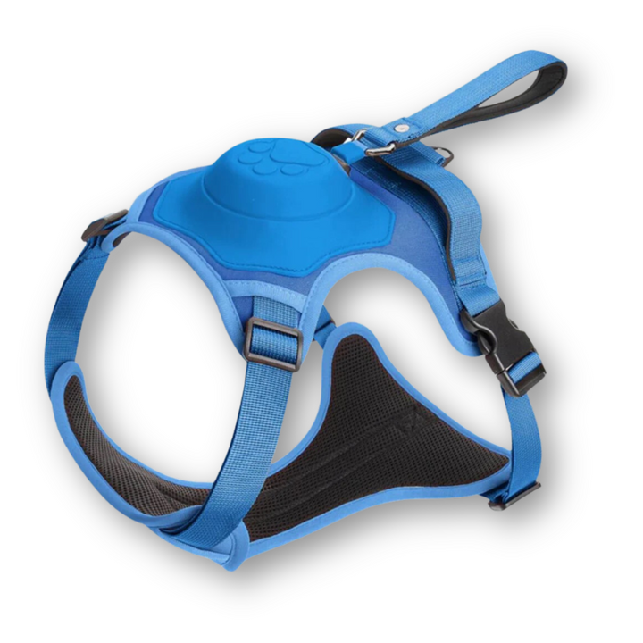 FlexiHarness – Comfortable 2-in-1 Dog Harness with Leash Azura