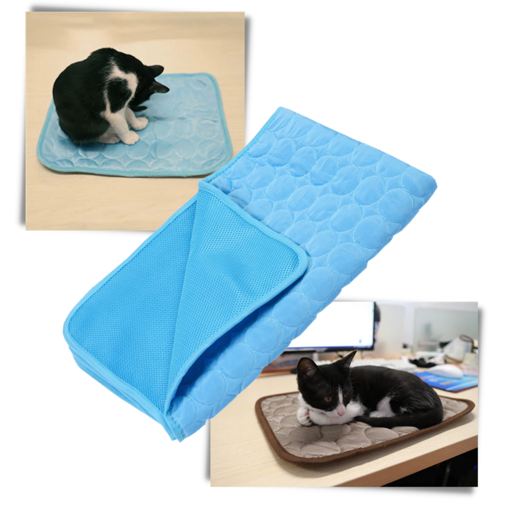 Cooling Mat for Pets | Azura