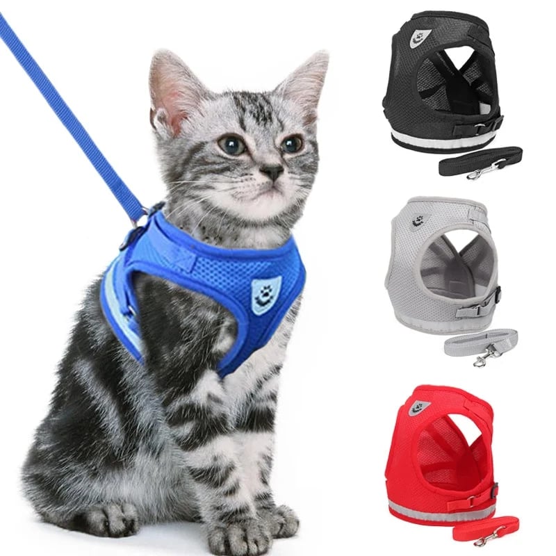 Azura | Reflective Cat Harness and Leash Set with Adjustable Straps for Safe Night Adventures – Comfortable Fit for Cats and Kittens