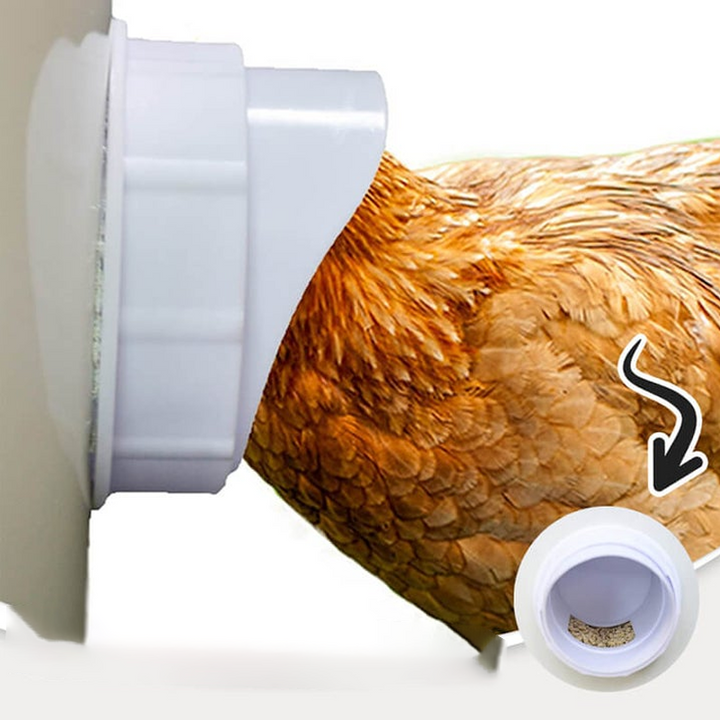 Azura | DIY Chicken Feeder