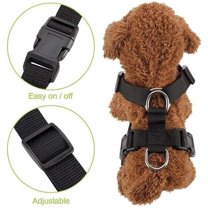 Azura | Dog Safety Harness Set