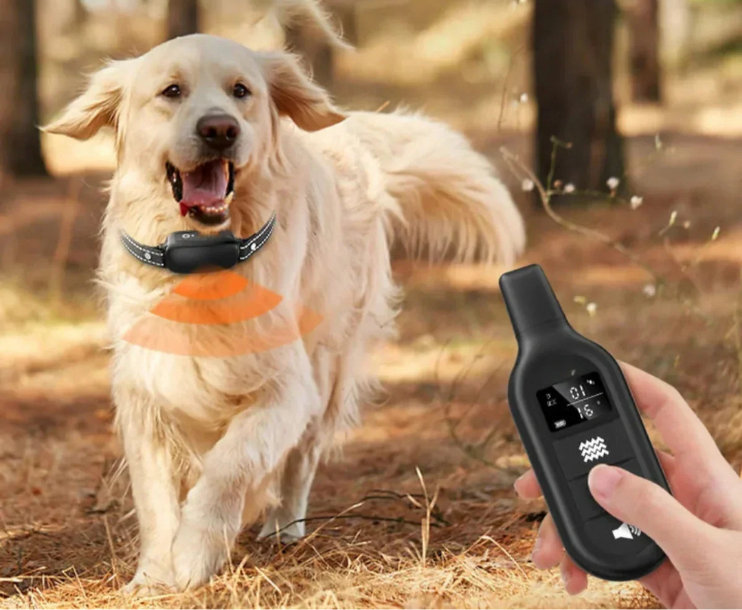 Azura | Dog Coach Pro Training Collar – Waterproof Electronic Collar with Remote Control