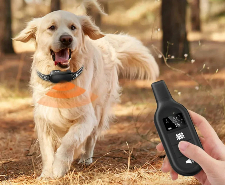 Azura | Dog Coach Pro Training Collar – Waterproof Electronic Collar with Remote Control