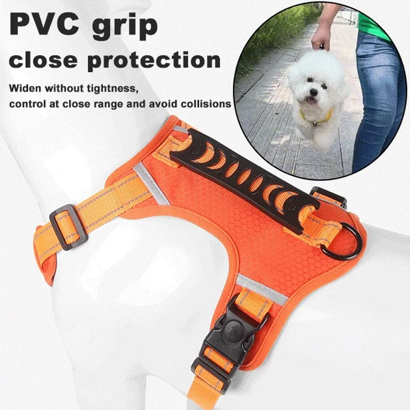 Azura | Reflective Dog Harness