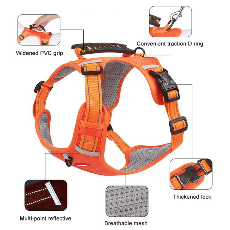 Azura | Reflective Dog Harness