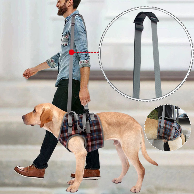Azura | Orthopedic Rear Leg Support Harness for Dogs – Ideal for Arthritis, Hip Dysplasia & Mobility Aid
