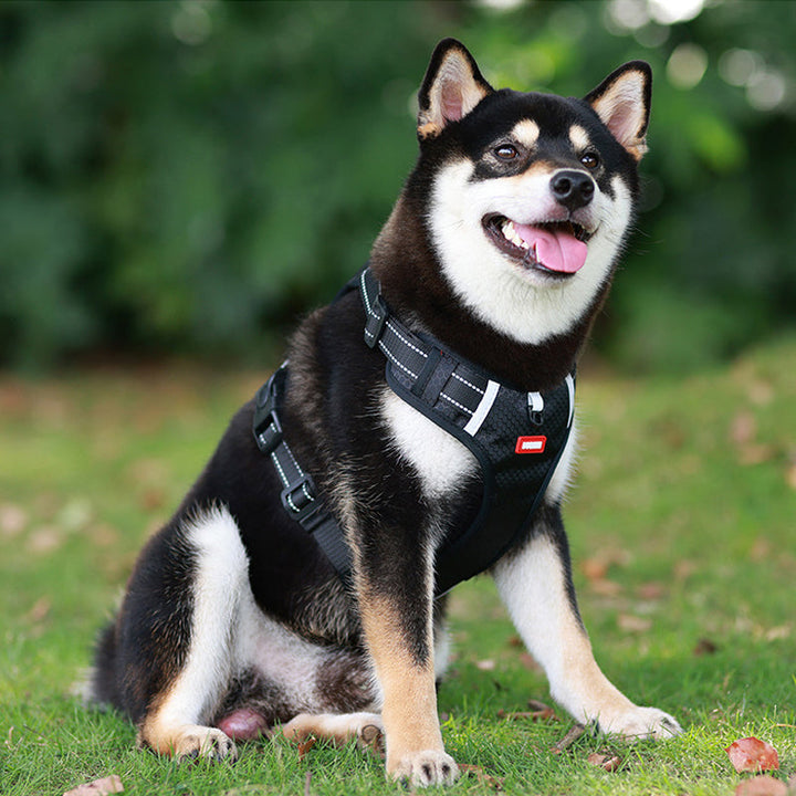 Azura | Reflective Dog Harness
