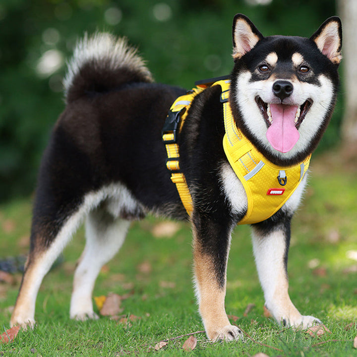 Azura | Reflective Dog Harness