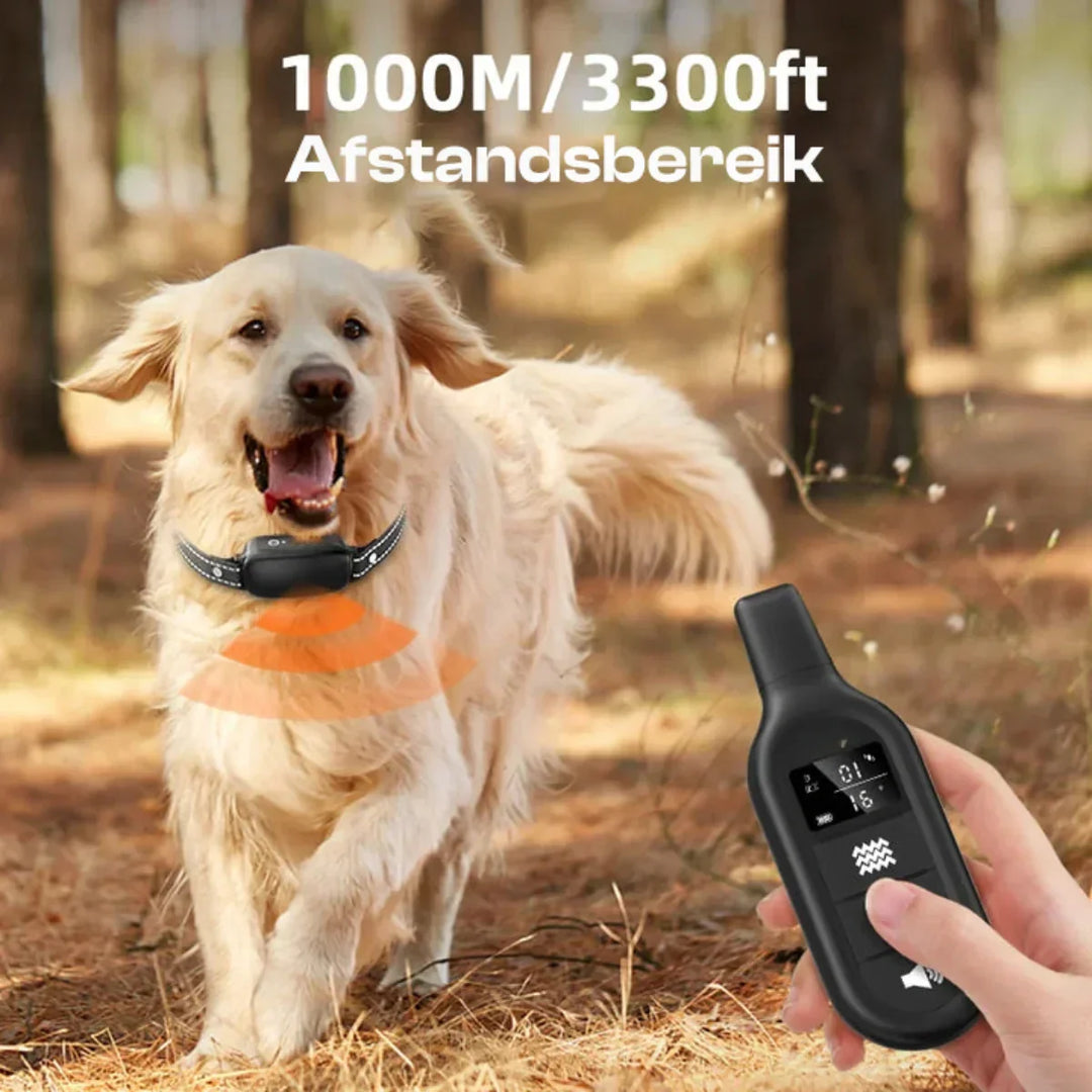 Azura | Electric Dog Training Collar with Remote Control, Waterproof, 16 Adjustable Shock Levels, 1000m Range, Beep & Vibration Modes