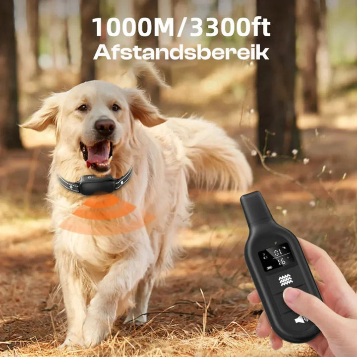 Azura | Electric Dog Training Collar with Remote Control, Waterproof, 16 Adjustable Shock Levels, 1000m Range, Beep & Vibration Modes