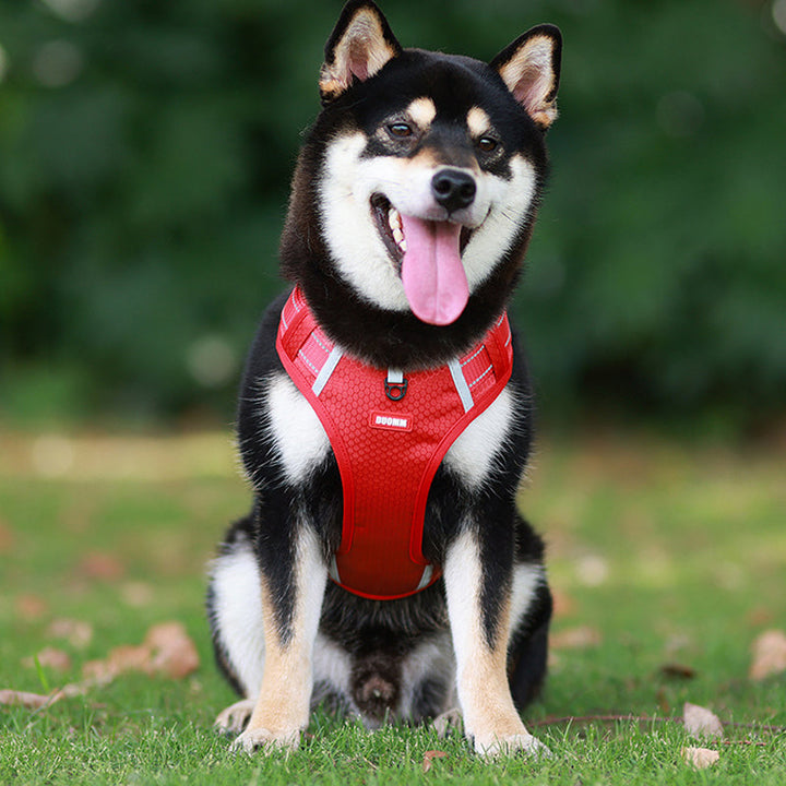 Azura | Reflective Dog Harness