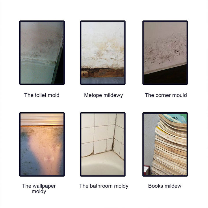 BowLift | Mold Cleaner Foam Mold Deodorant Decontamination Fast-Acting Spray