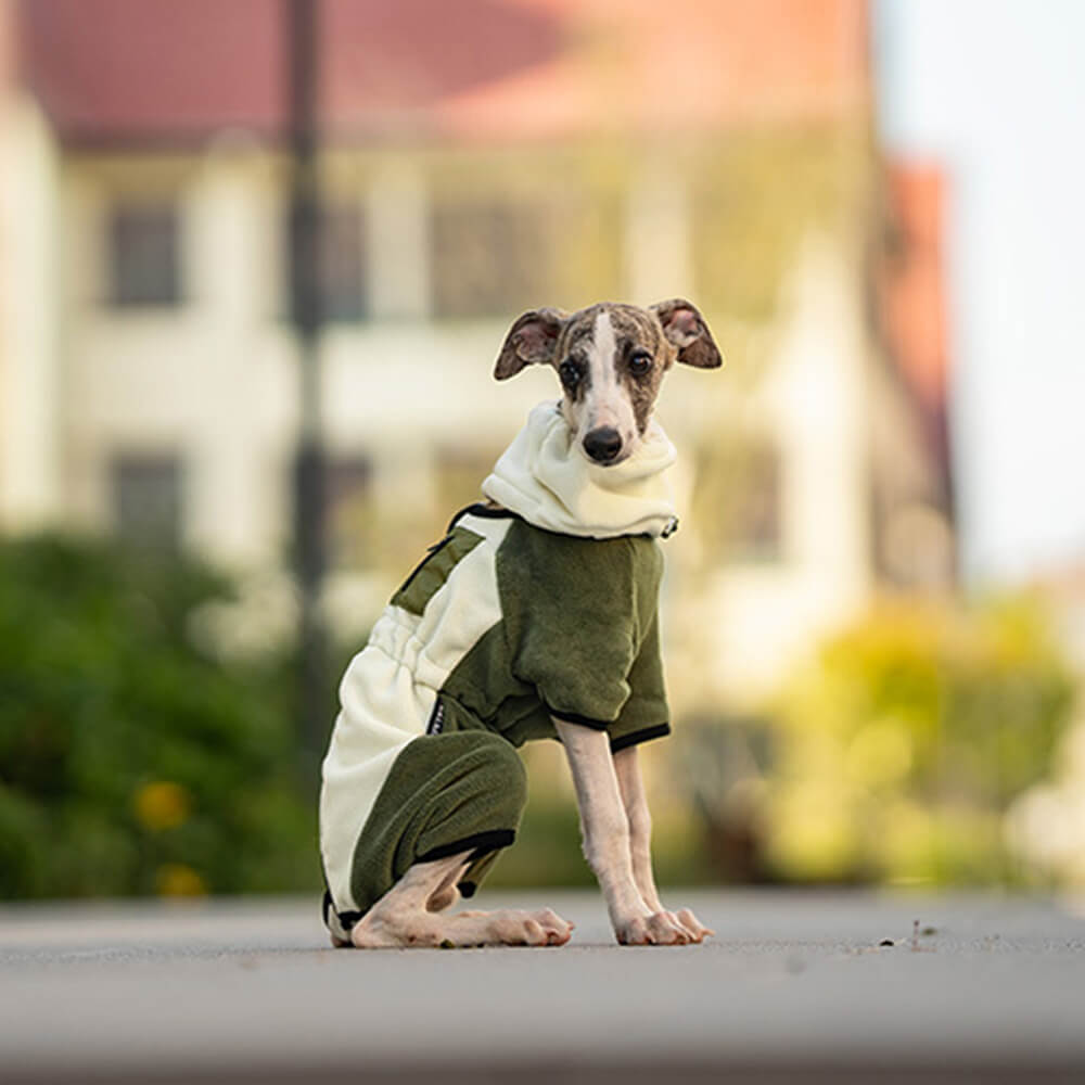 Azura | Full Protection Polar Fleece Dog Overall with Removable Collar
