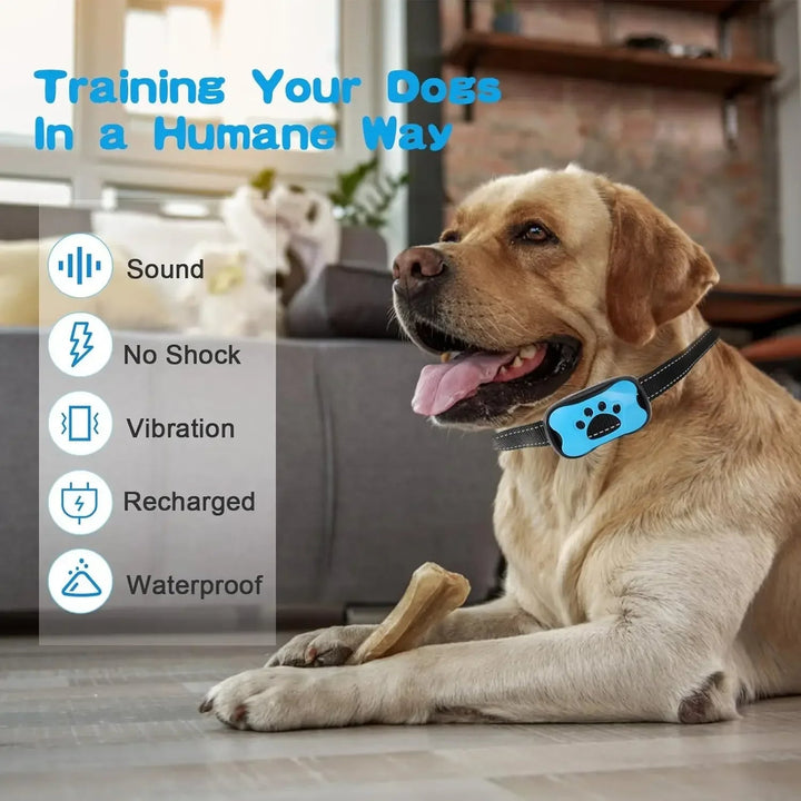Azura | Anti-Bark Dog Collar – Stop Unwanted Barking with the BarkBuddy Vibration Training Collar for Dogs