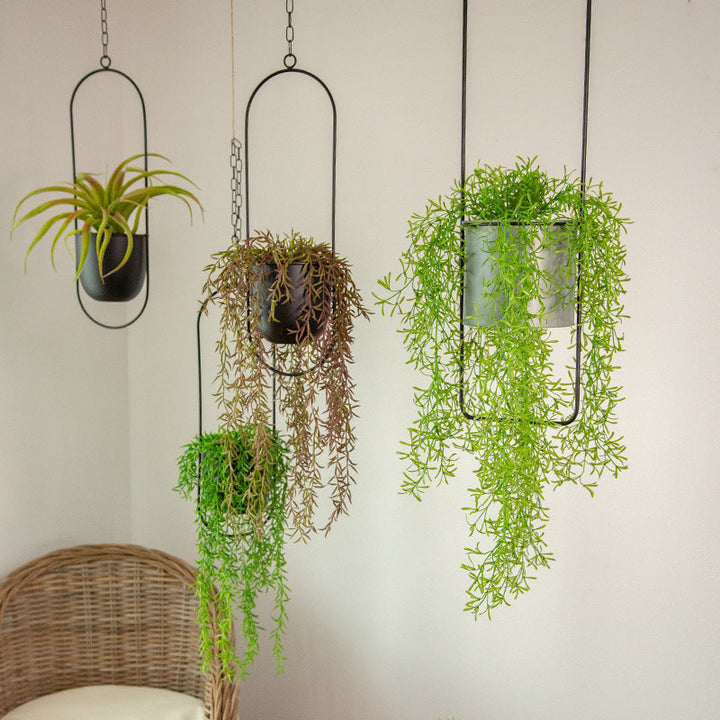 BowLift | Luxury Modern Hanging Pots