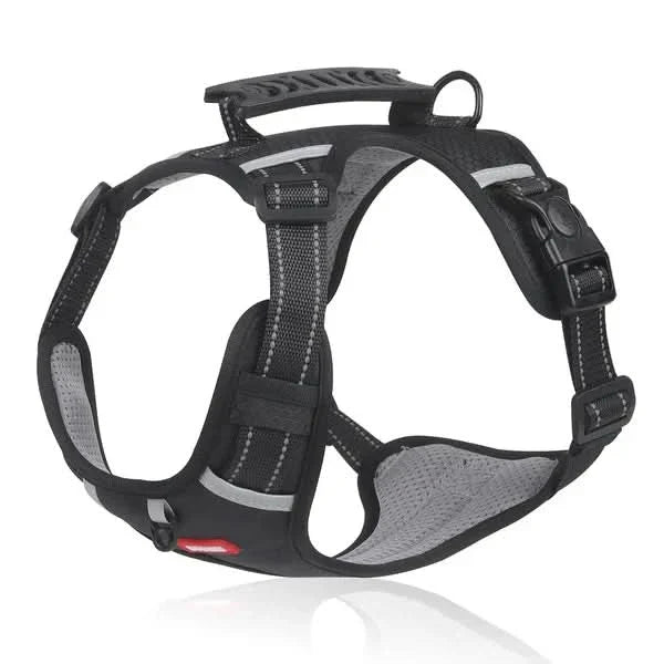 BowLift | Anti-Pull Dog Harness for Relaxed Walks