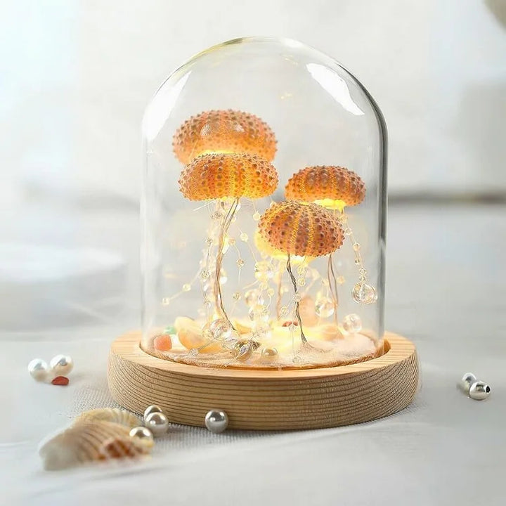 BowLift | LumiCraft – Unique DIY table lamp with natural sea shell for a cozy décor