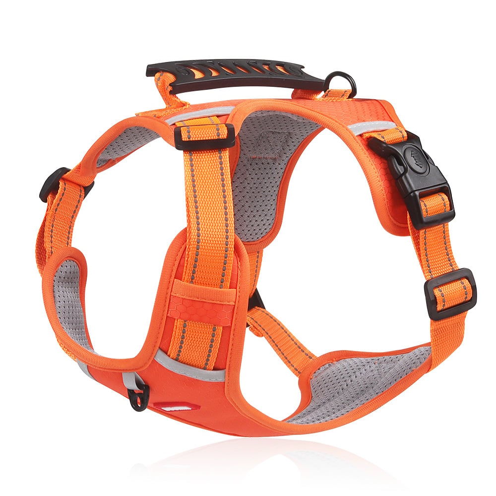 BowLift | No Pull Dog Harness for Pets