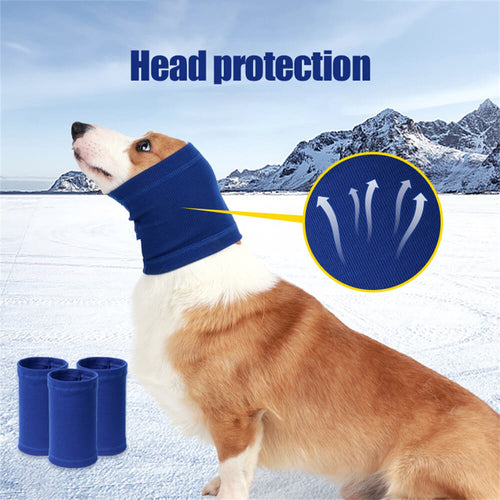 Azura | Pet Products Dog Soothing Headband
