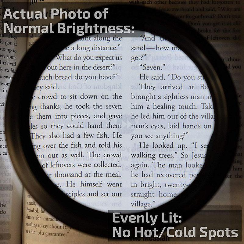Azura | LED Reading Glasses Magnifier
