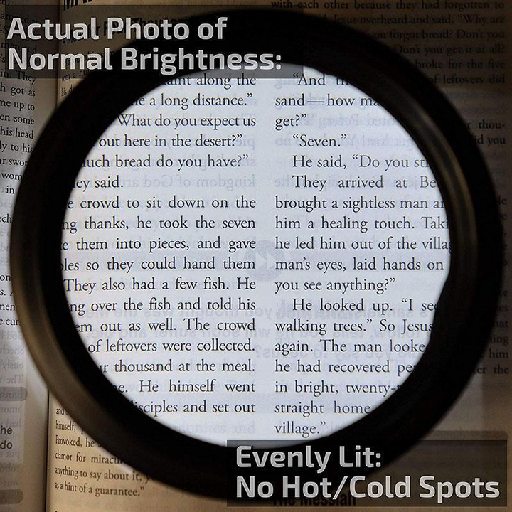 Azura | LED Reading Glasses Magnifier