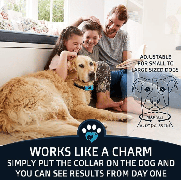 Azura | Anti-Bark Collar