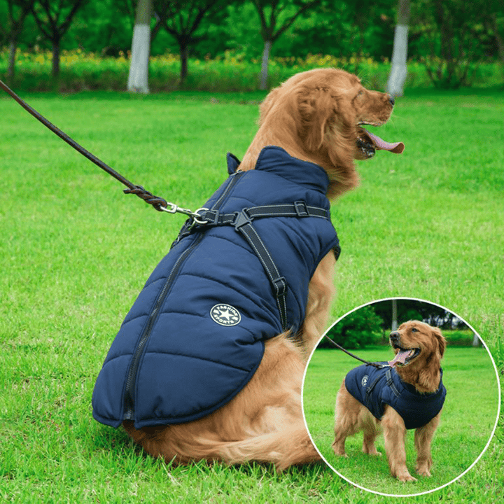 Azura | PupGuard - Winter-Dog Coat with Harness