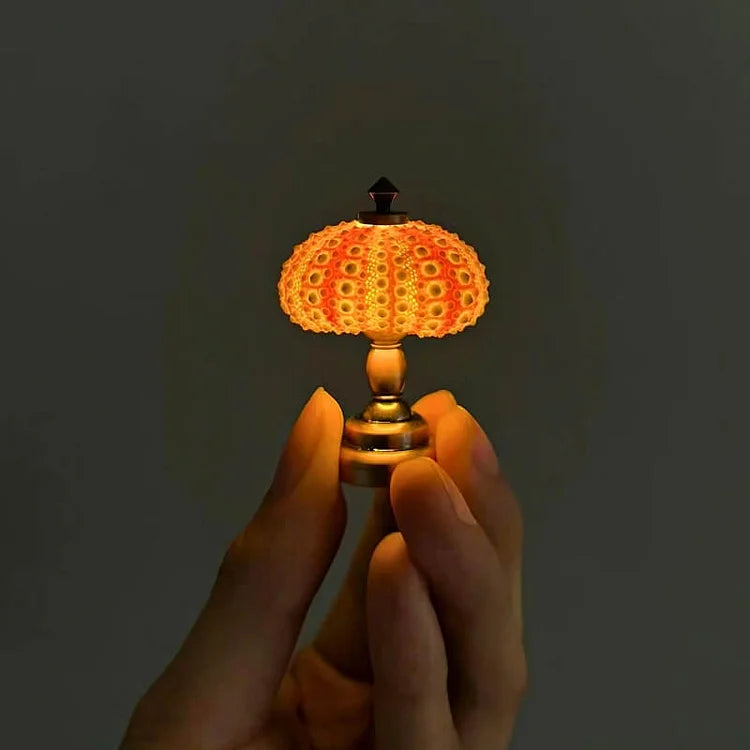 BowLift | LumiCraft – Unique DIY table lamp with natural sea shell for a cozy décor