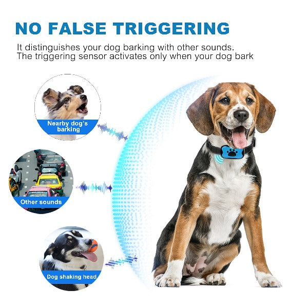 Azura | Painless Anti-Bark Collar – Vibrations & Ultrasound for Dogs