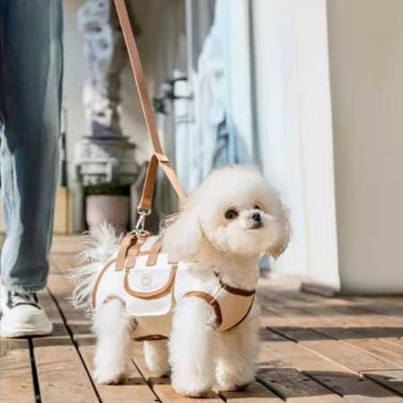 Azura | Multi-Function Pet Harness and Carrier Backpack for Small Dogs and Cats